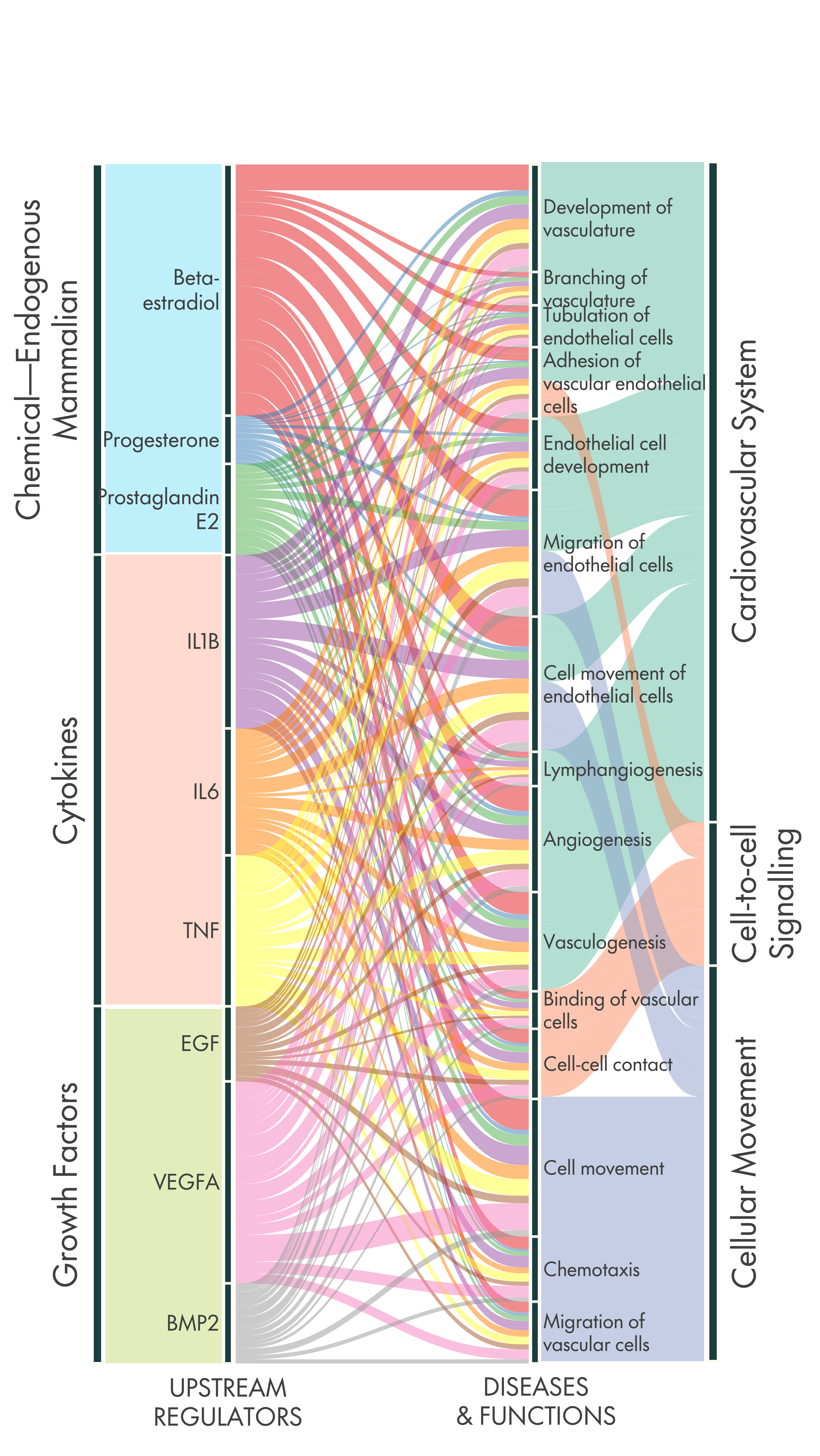 Proportion of DE genes regulated by predicted upstream regulators & functional terms