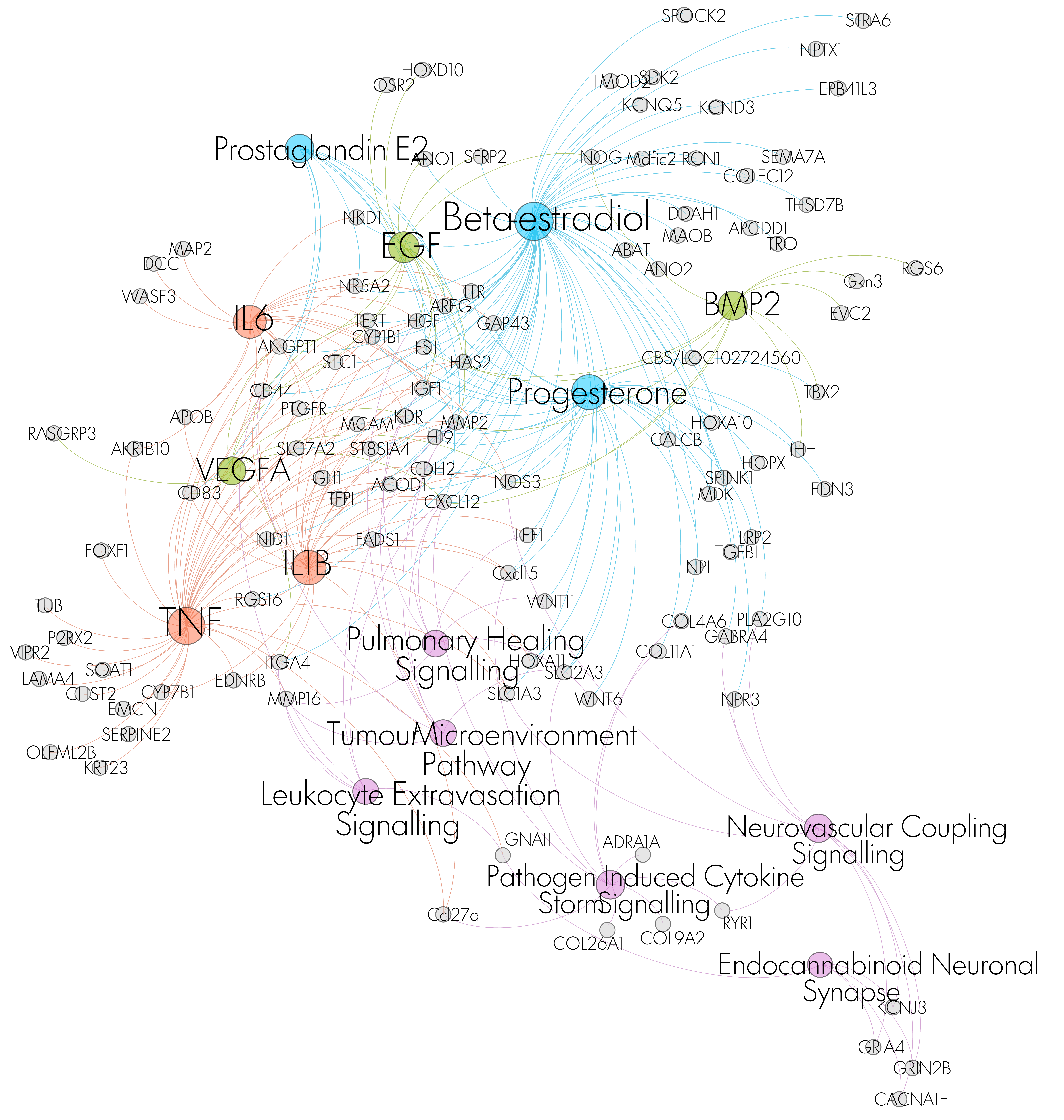 DE genes regulated by predicted upstream regulators and pathways