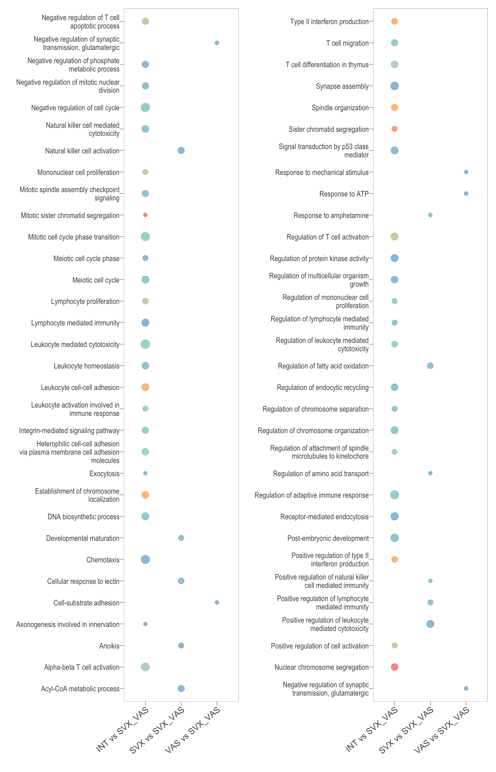 Biological processes parent terms